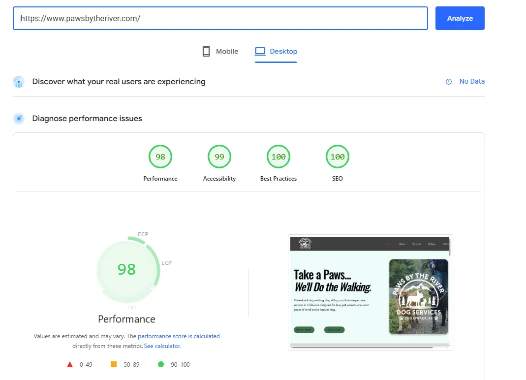 Paws by the River Chilliwack SEO pricing proof — 98 desktop PageSpeed score and 100 of 100 Google SEO audit